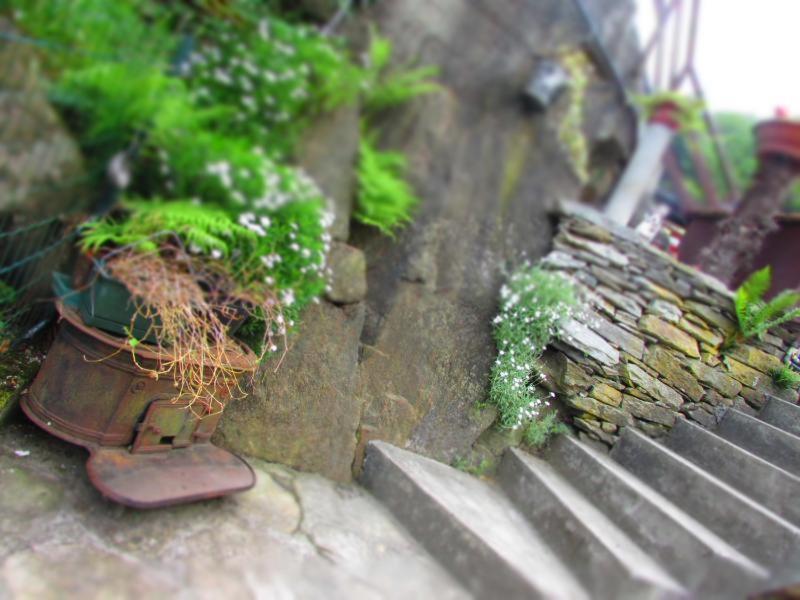 Casa Vacanza Pizzo Camino Calasca-Castiglione エクステリア 写真